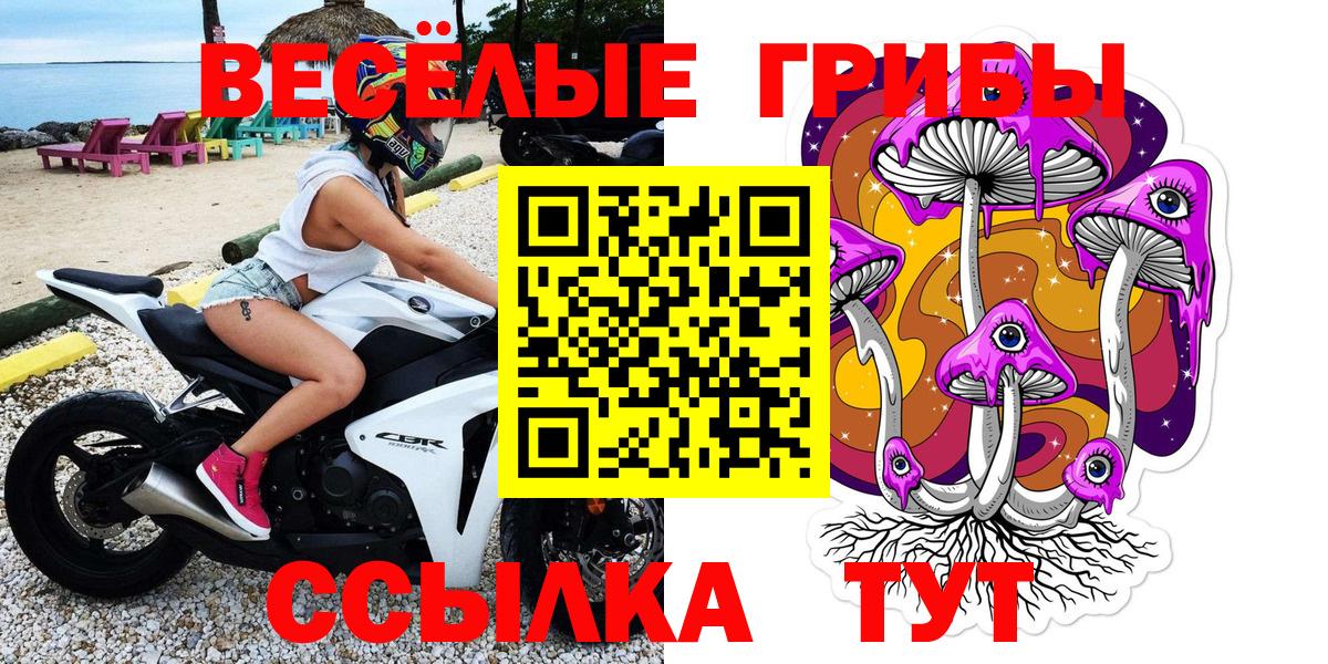 Псилоцибиновые грибы Cubensis  Вход с VPN  Бутурлиновка 