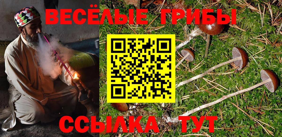Псилоцибиновые грибы Psilocybine cubensis Бутурлиновка